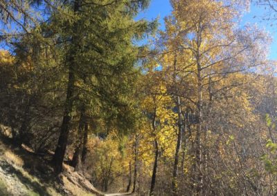 Ballade en automne le long du bisse de St-Jean