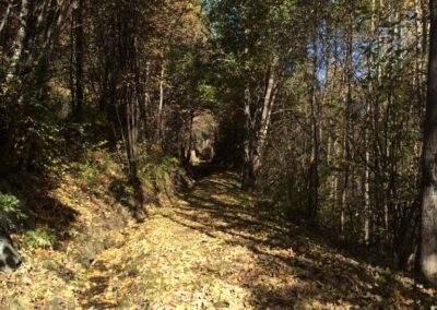Ballade en automne le long du bisse de St-Jean
