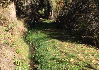 Ballade en automne le long du bisse de St-Jean