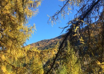 Ballade en automne le long du bisse de St-Jean