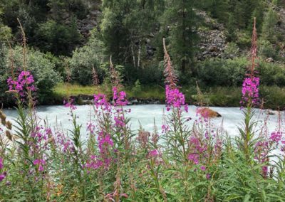 Ballades