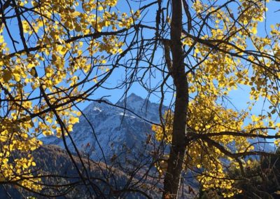 Ballade en automne le long du bisse de St-Jean