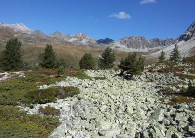Montée à l'hôtel Weisshorn depuis le Prilet par le sentier des cascades