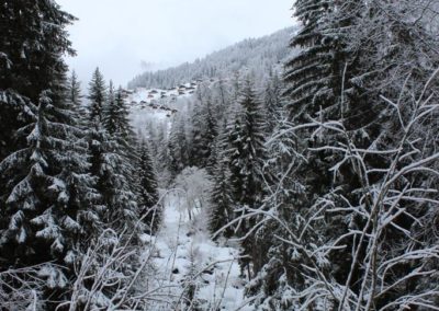 Vue enneigée depuis le chalet