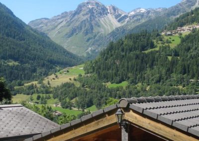 Vue depuis le chalet